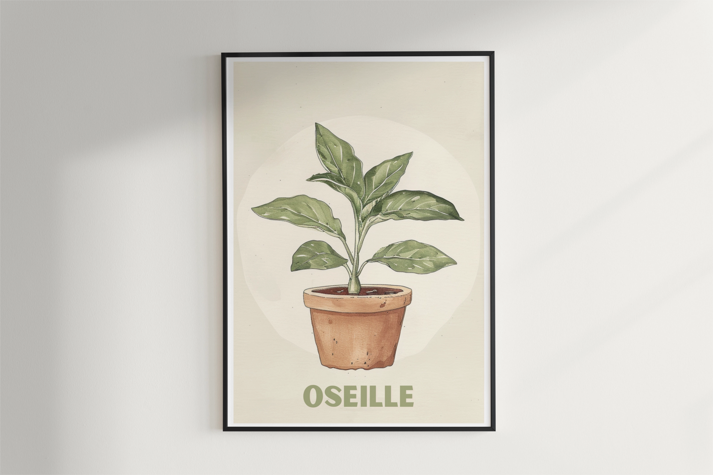 Affiche Oseille